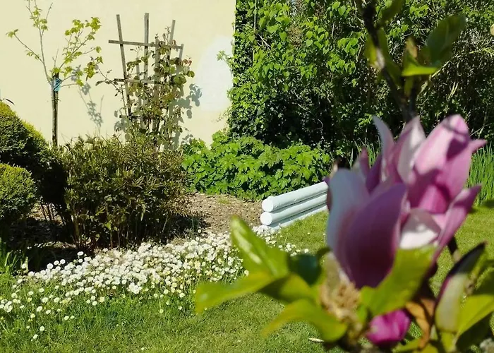 Le Jardin Des Nosieres, Proche Du Puy Du Fou * Le Boupère