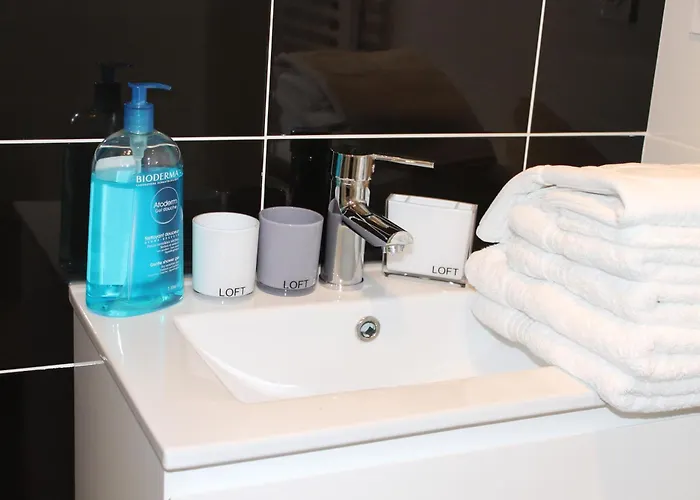 Сasa de vacaciones Le Jardin Des Nosieres, Proche Du Puy Du Fou *